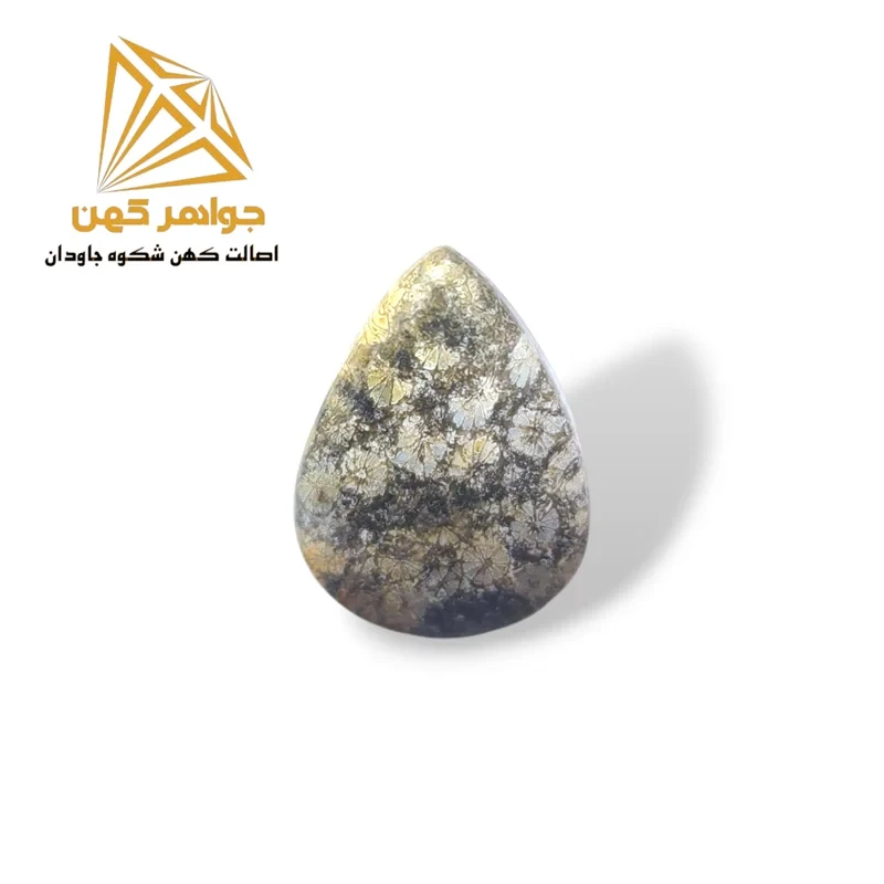 نگین فسیل مرجان (کد 10)