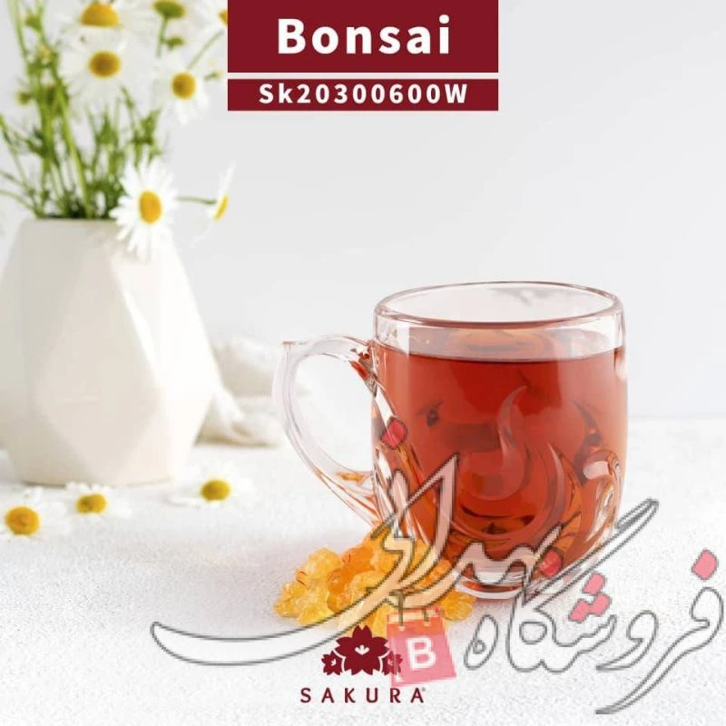 نیم لیوان 6 عددی بونسای