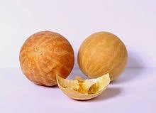 هندوانه ابوجهل مهشاد