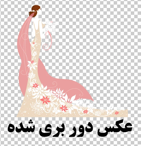 وکتور عروس