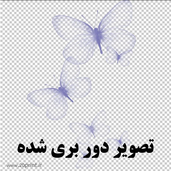 وکتور پروانه png