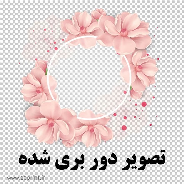 وکتور گل و بوته صورتی png