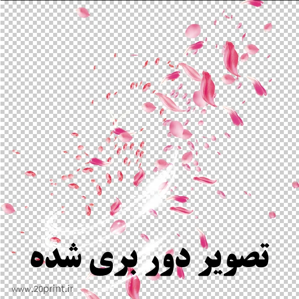 وکتور گلبرگ گل png