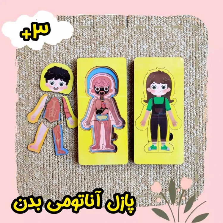 پازل آناتومی بدن انسان چوبی الگودار