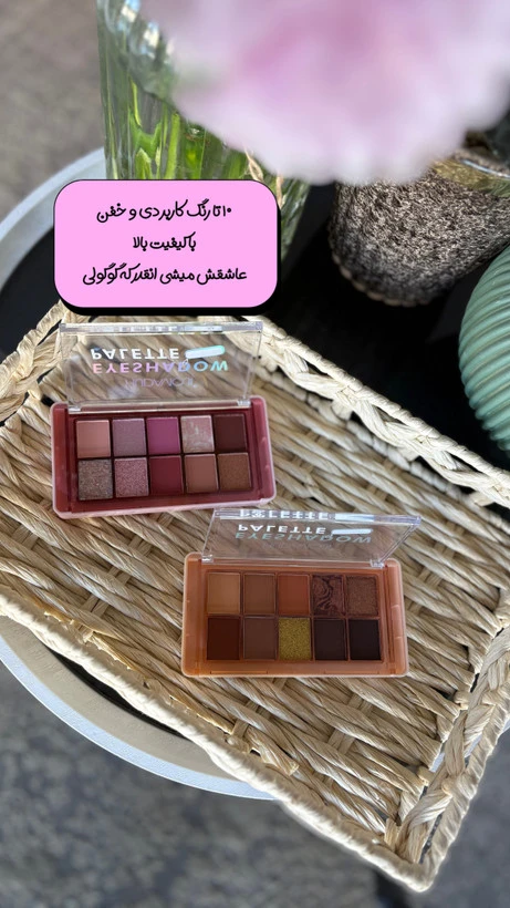 پالت سایه اقتصادی