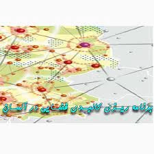 پاورپوینت برنامه ریزی کالبدی و فضایی در آلمان