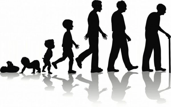 پاورپوینت روانشناسی رشد (1)
