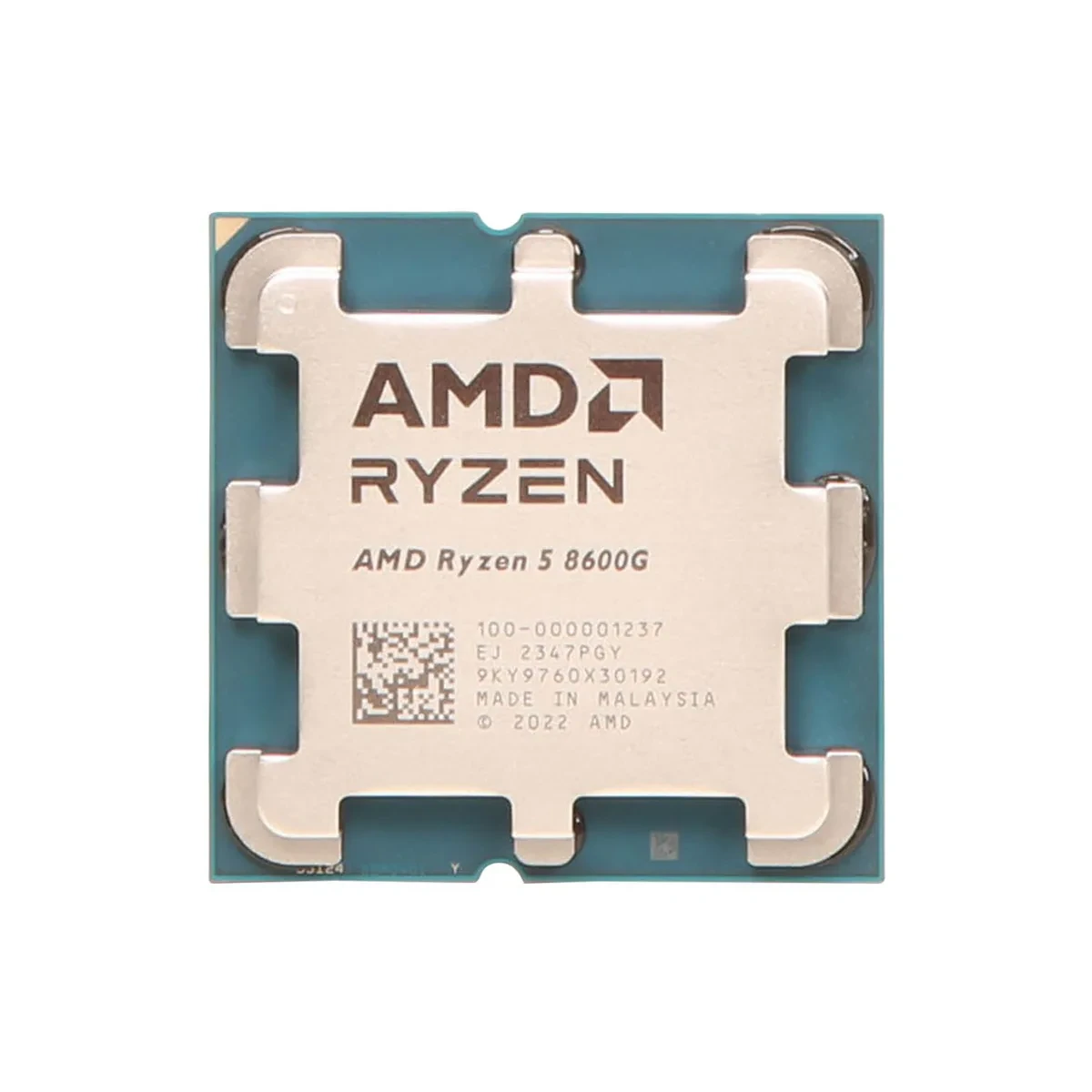 پردازنده AMD Ryzen 5 8600G Tray 6-Core 4.3 GHz Socket AM5