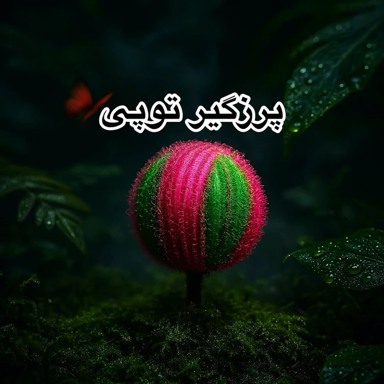 پرزگیر توپی لباس