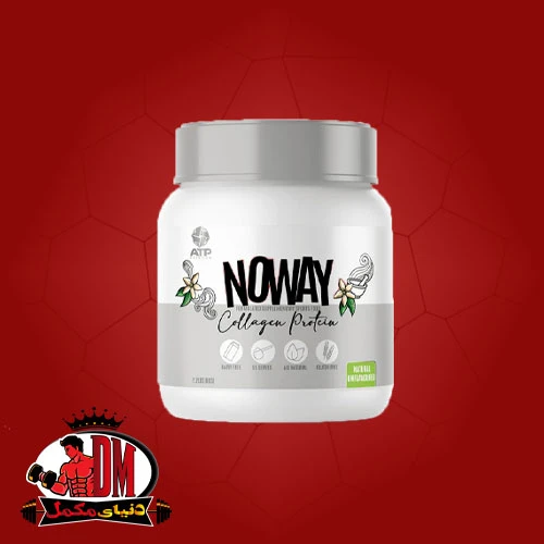 پروتئین بیف هیدرولایز ای تی پی NOWAY ATP