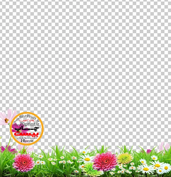 پس زمینه گل و بوته ، گل ، فضای سبز