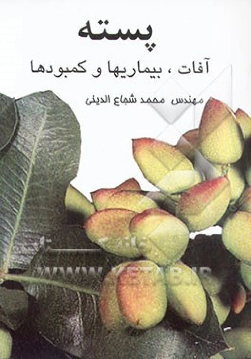 پسته آفات بیماریها و کمبودها / محمد شجاع الدینی / نشرفروزش