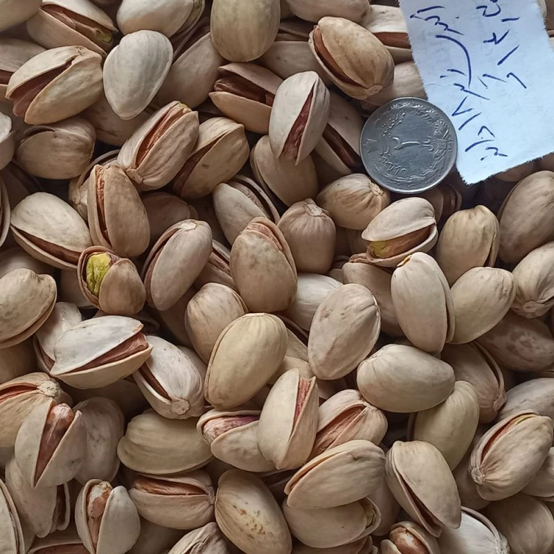پسته اکبری 18-20