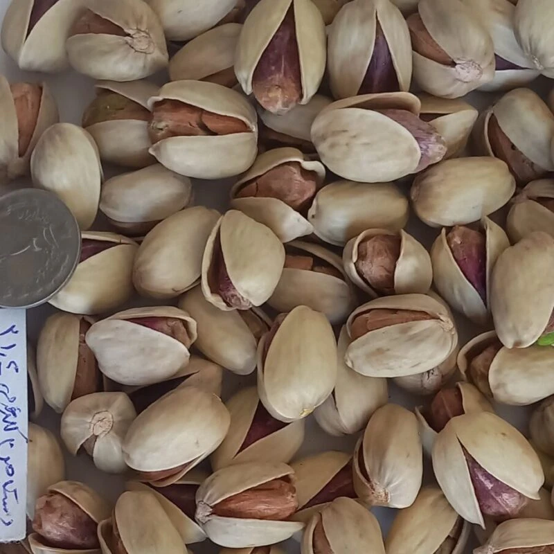 پسته کله قوچی خندان 20-22دستچین _ یک کیلویی