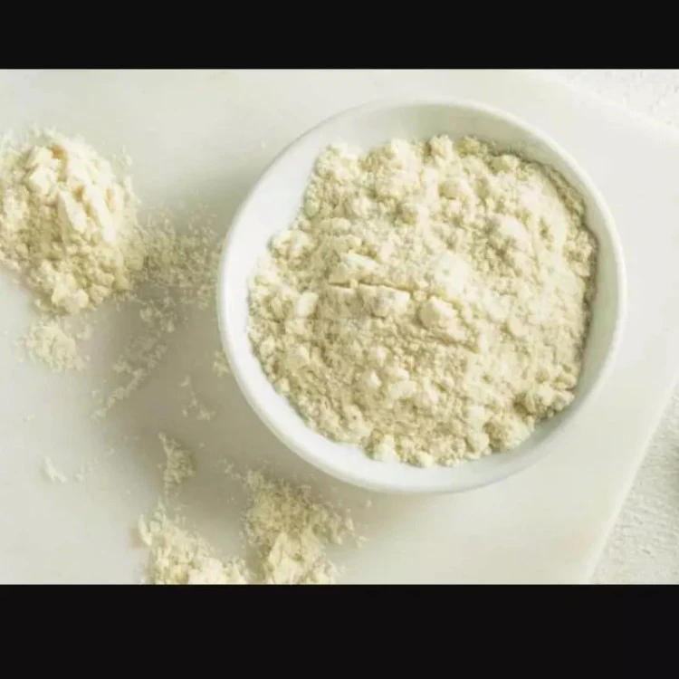 پودر آب پنیر شور ۲۵۰ گرمی