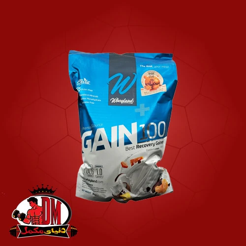 پودر گین 100 وی لند 3000 گرم