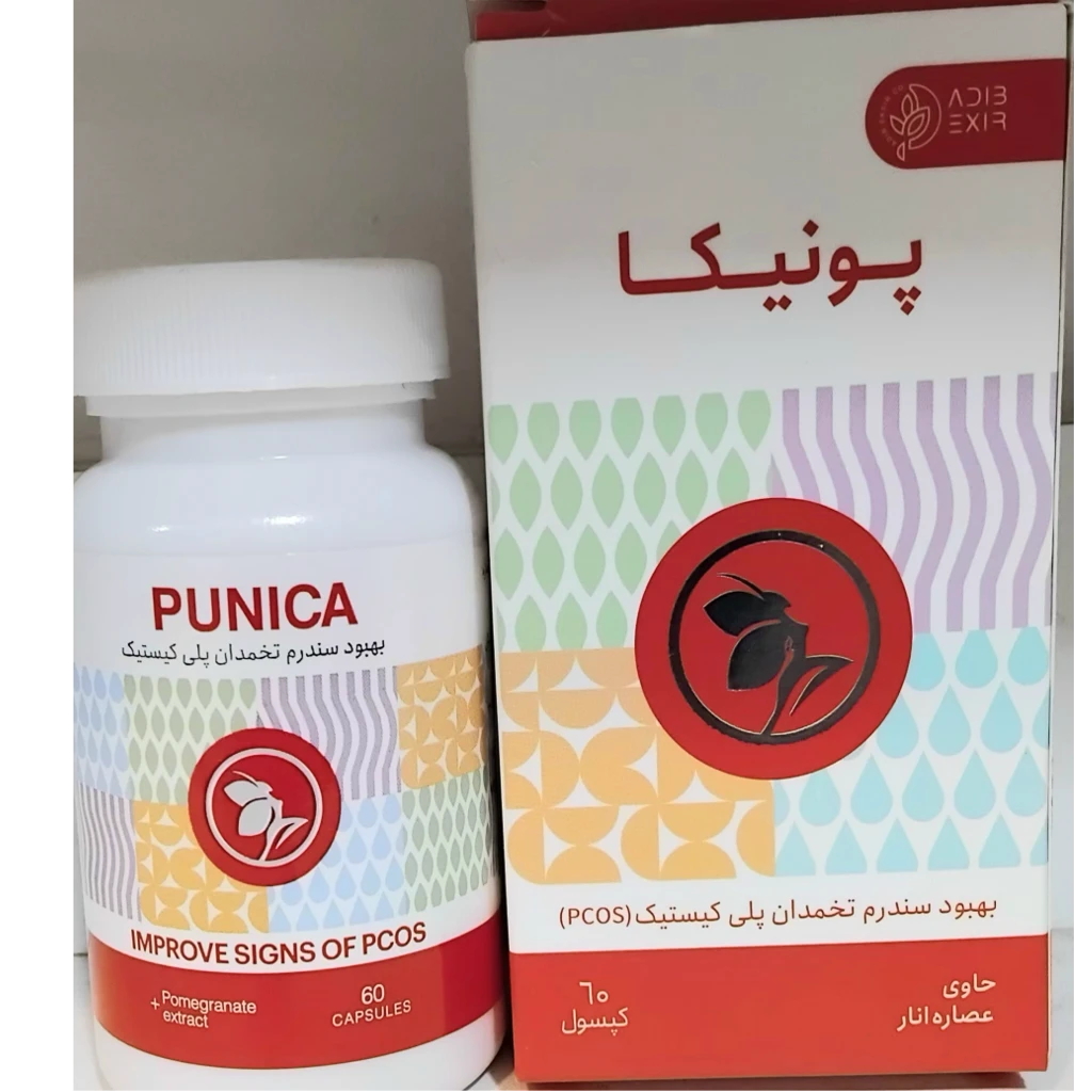 پونیکا
