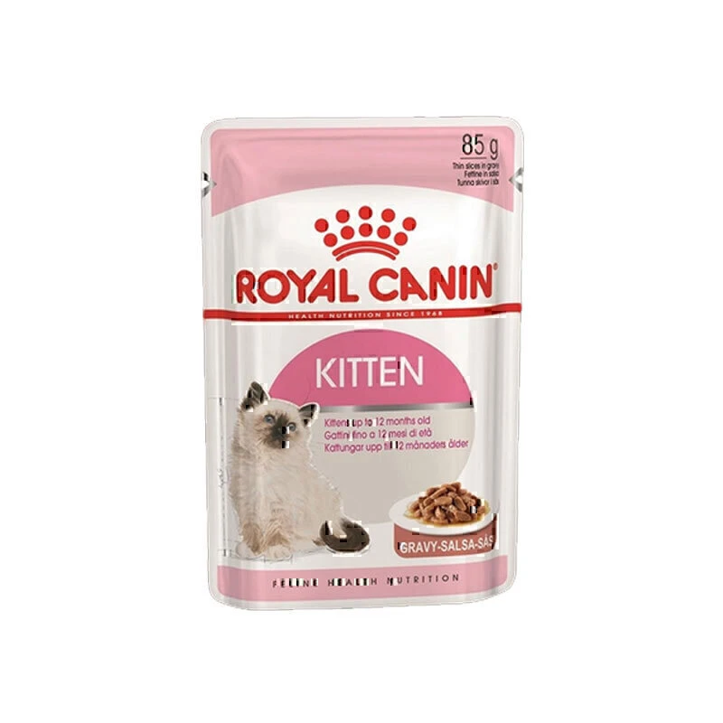 پوچ بچه گربه kitten رویال کنین