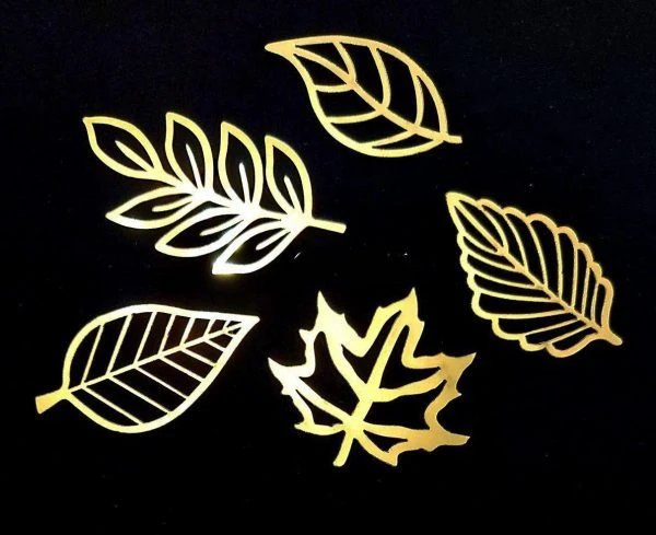 پک مینی تاپر برگ