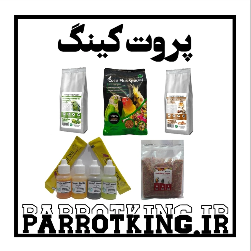 ارسال رایگان پک کامل خوراک و مکمل طوطی سانان،دارو،تقویتی،تشویقی،غذای تخم مرغی،غذای سبزیجات،پلت زوپریم پرندگان