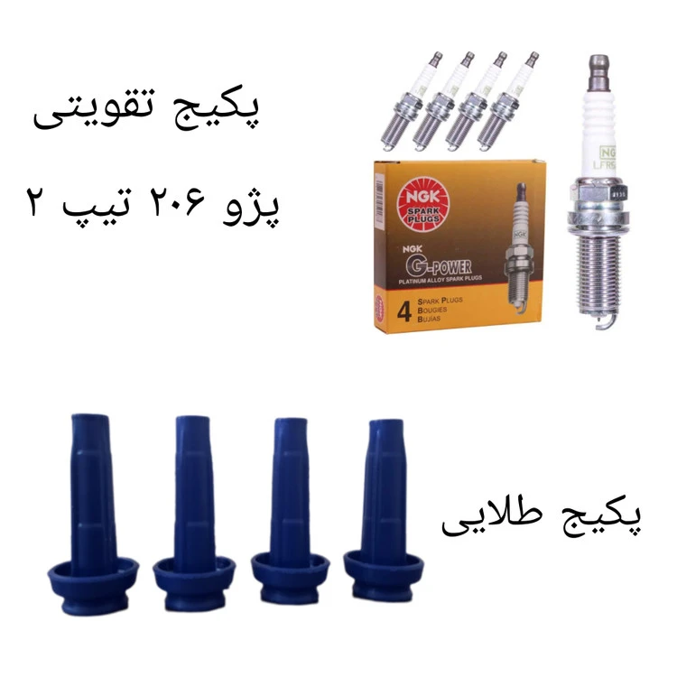 پکیج تقویت خودرو مناسب برای پژو ۲۰۶ تیپ ۲ ( پکیج طلایی )