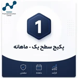 پکیج سطح یک مالیاتی/ماهانه