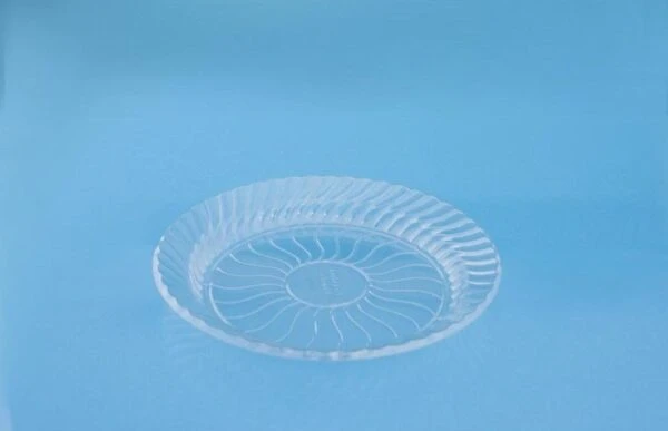 پیش دستی خورشیدی شفاف کارتن 480 عددی