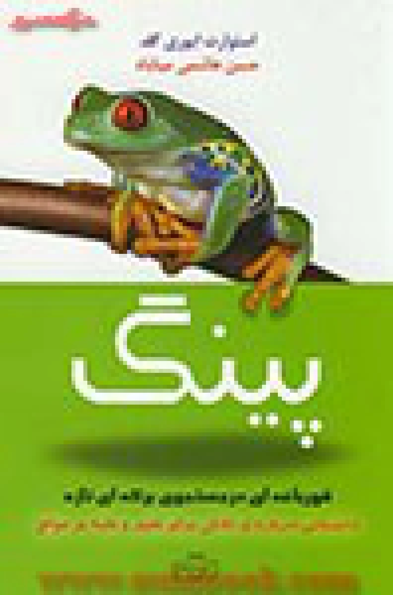 پینگ/استوارت ایوری گلد/حسن هاشمی میناباد/نشرکتیبه پارسی