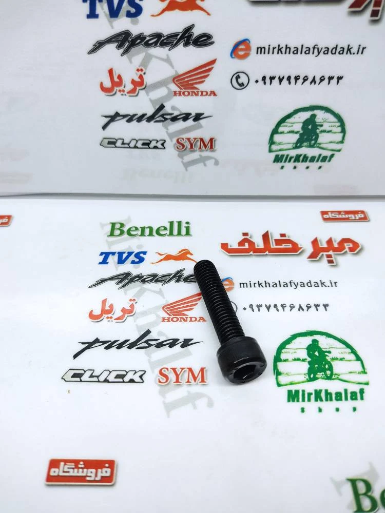 پیچ النی 8 در 25