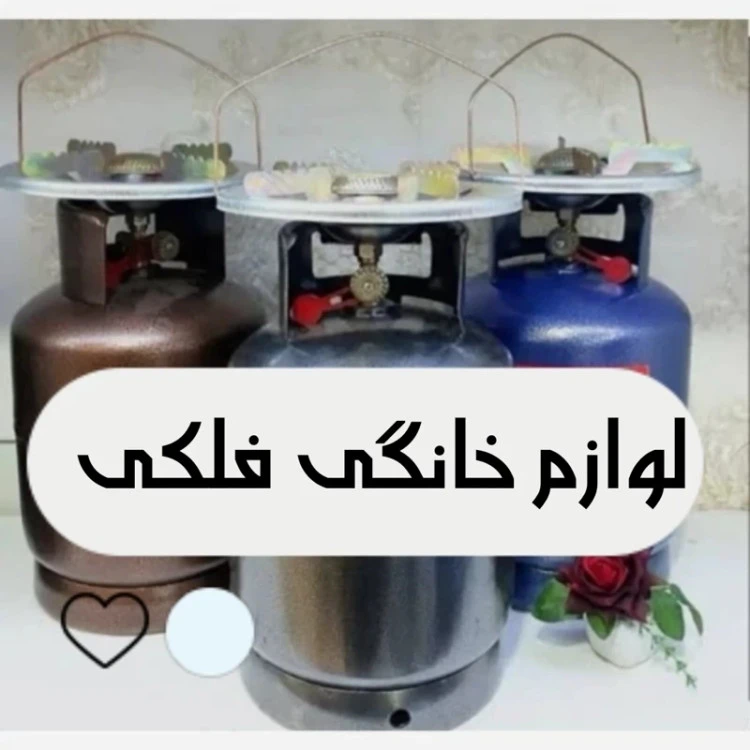 پیک نیک 5 کیلویی استاندارد با سر خوراک پزی