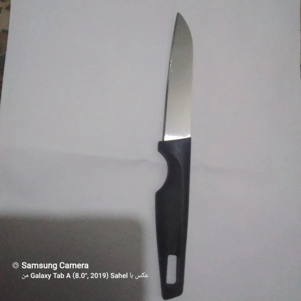 چاقو آشپزخانه خوش دست