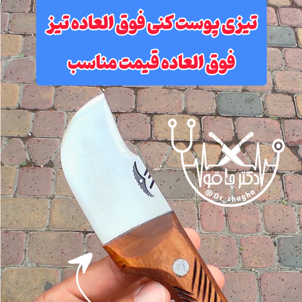 چاقو تیزی پوست کنی فولادب سفارشی اصل زنجان با غلاف رایگان