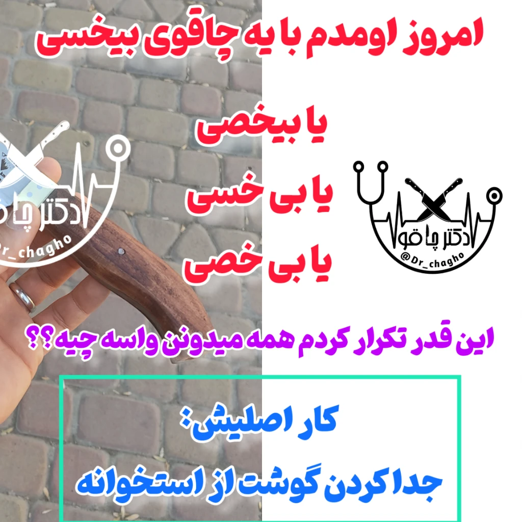 چاقوی بیخسی حرفه ای قصابی فنرفولاد اصل زنجان مخصوص جدا کردن گوشت از استخوان