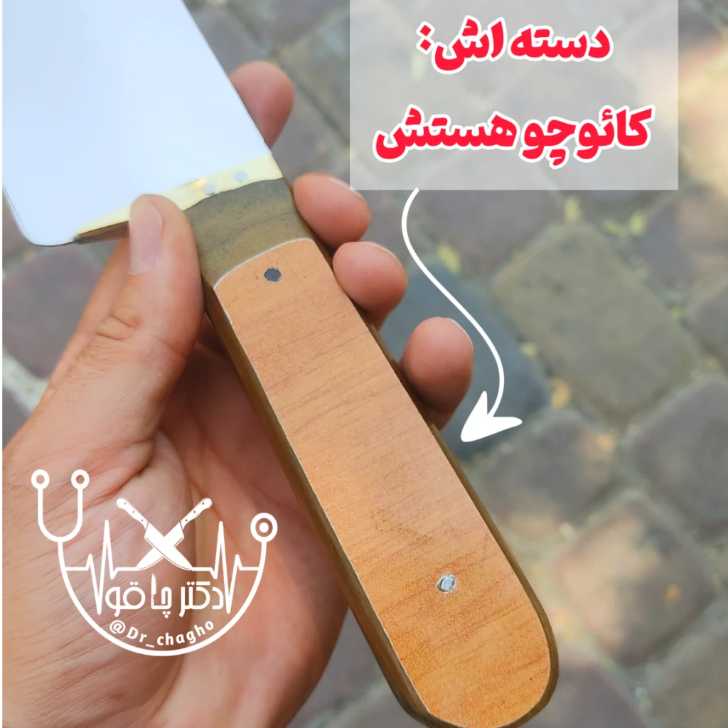چاقوی جوجه زن کباب زن اصل ضدزنگ استاد ایتی کارد زنجان