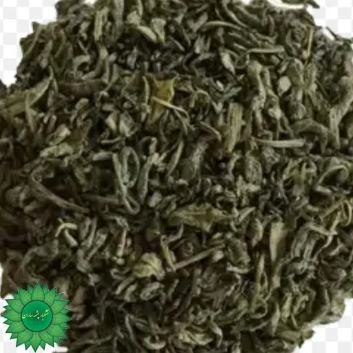 چای سبز