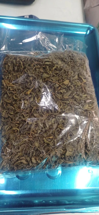 چایی سبز ارگانیک خش عطر و طعم ۲۰۰ گرمی