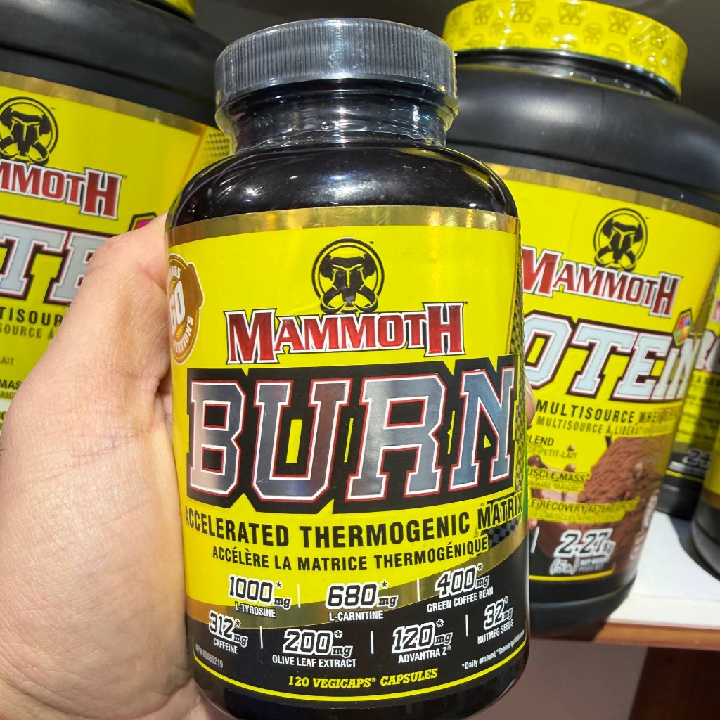 چربی‌سوز ماموت برن (MAMMOTH BURN)