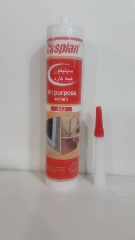 چسب اکواریوم بیرنگ بزرگ کاسپین 330 میلی