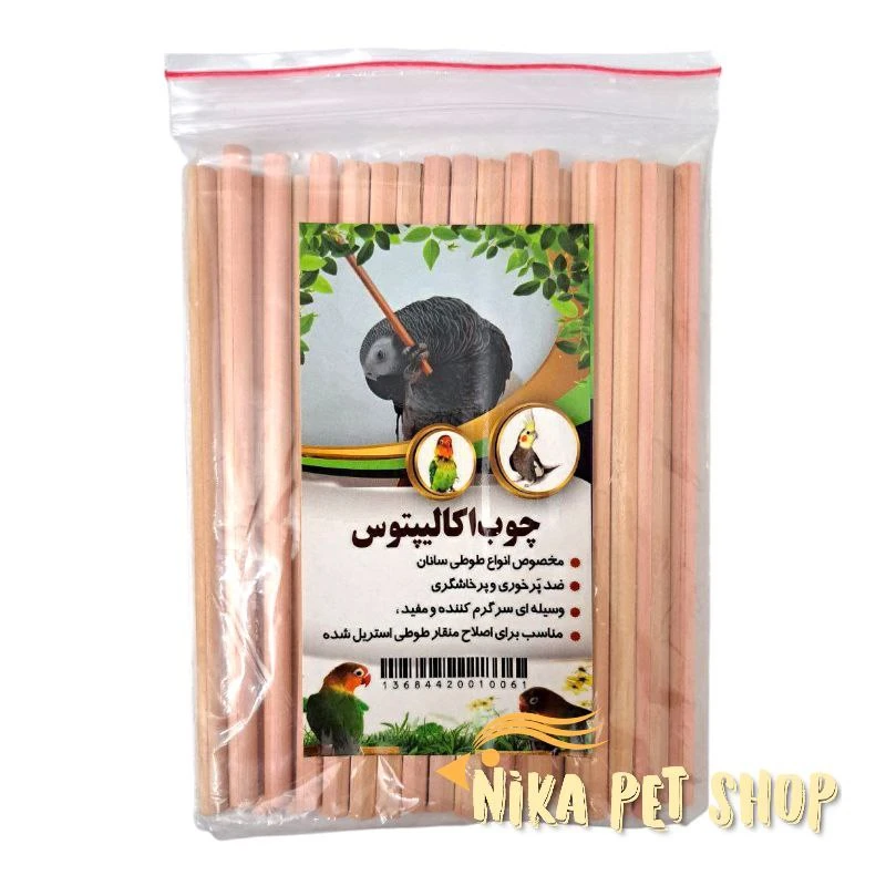 چوب اکالیپتوس جویدنی