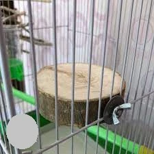 چوب جفت گیری پرنده