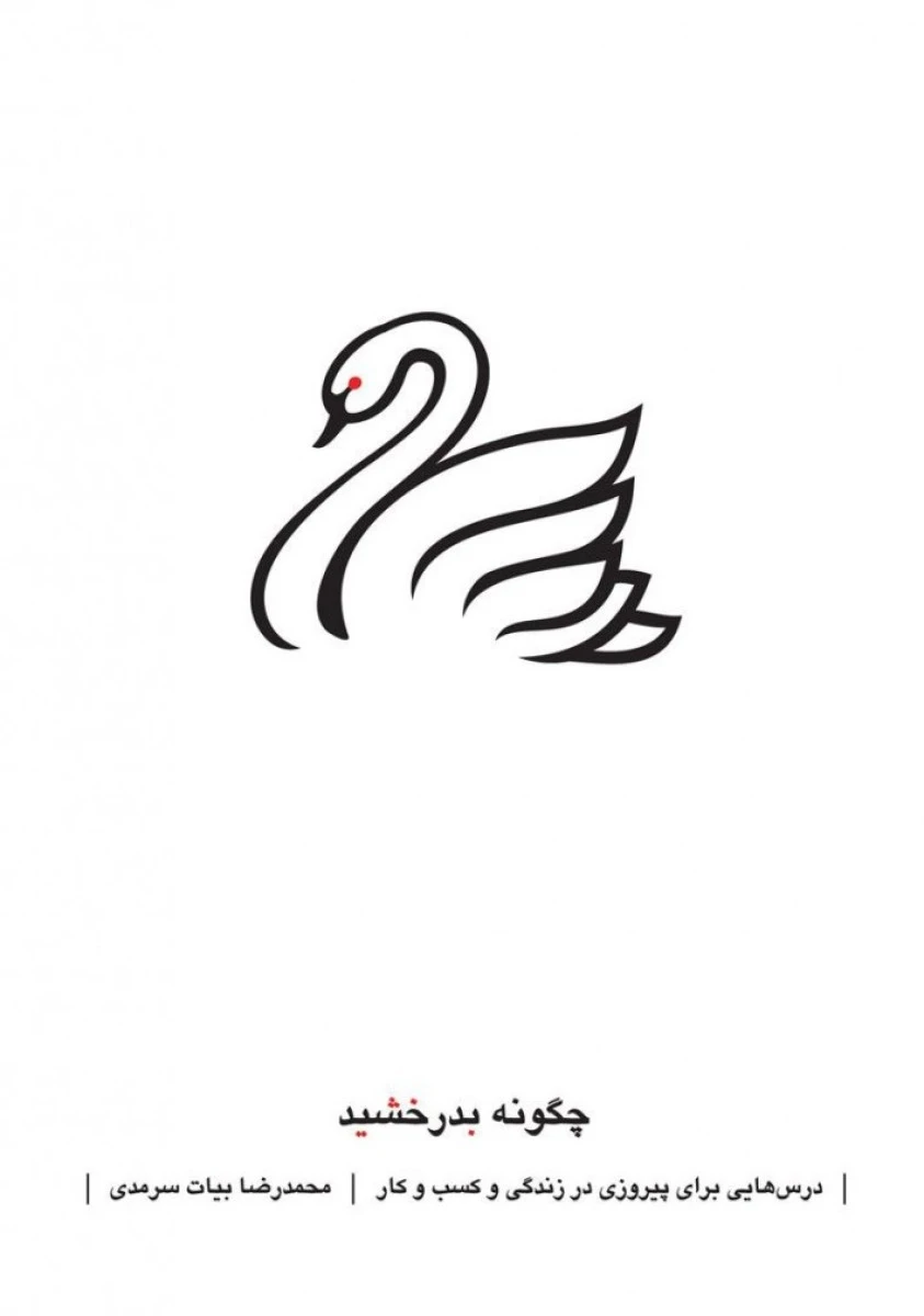 چگونه بدرخشید / محمدرضا بیات سرمدی / نشر نسل نواندیش
