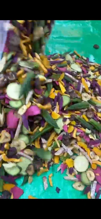 چیپس سبزیجات
