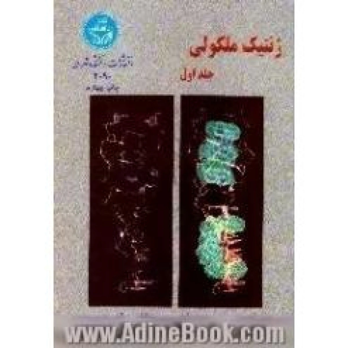 ژنتیک ملکولی جلد اول / جیمز و التسون / پرویز پاسالار / عباس صمدی / نشردانشگاه تهران