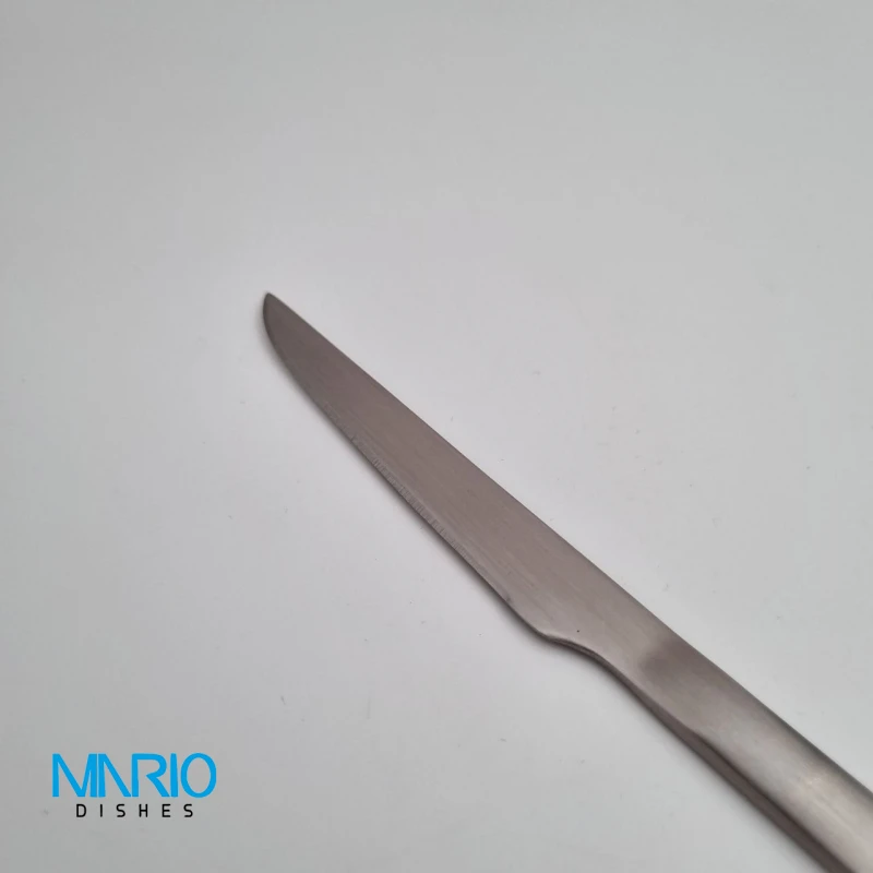 کارد میوه (کیک) شیکاگو مات (ست 6 عددی)