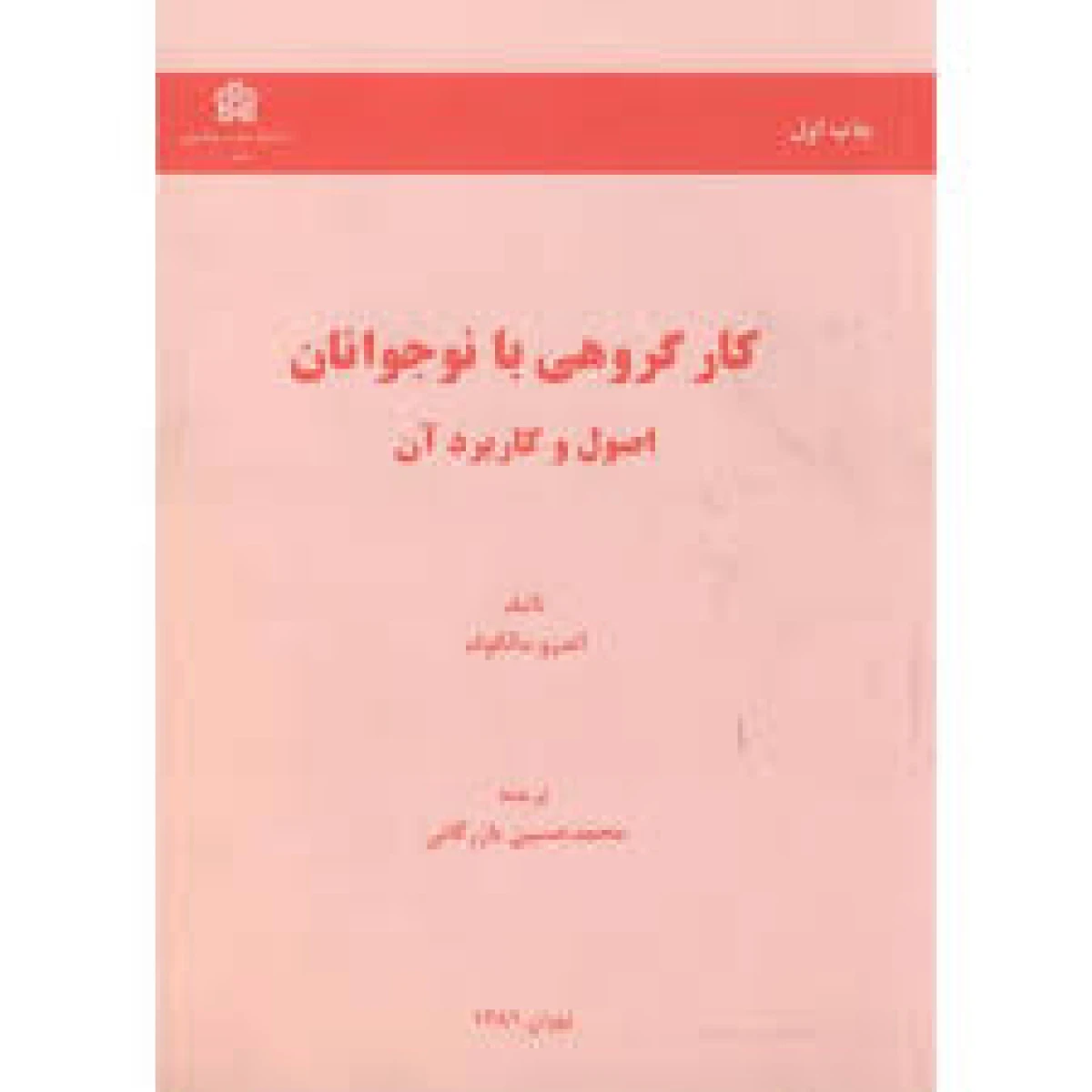 کارگروهی با نوجوانان / اندرو مالکوف / محمدحسین بازرگانی / علامه