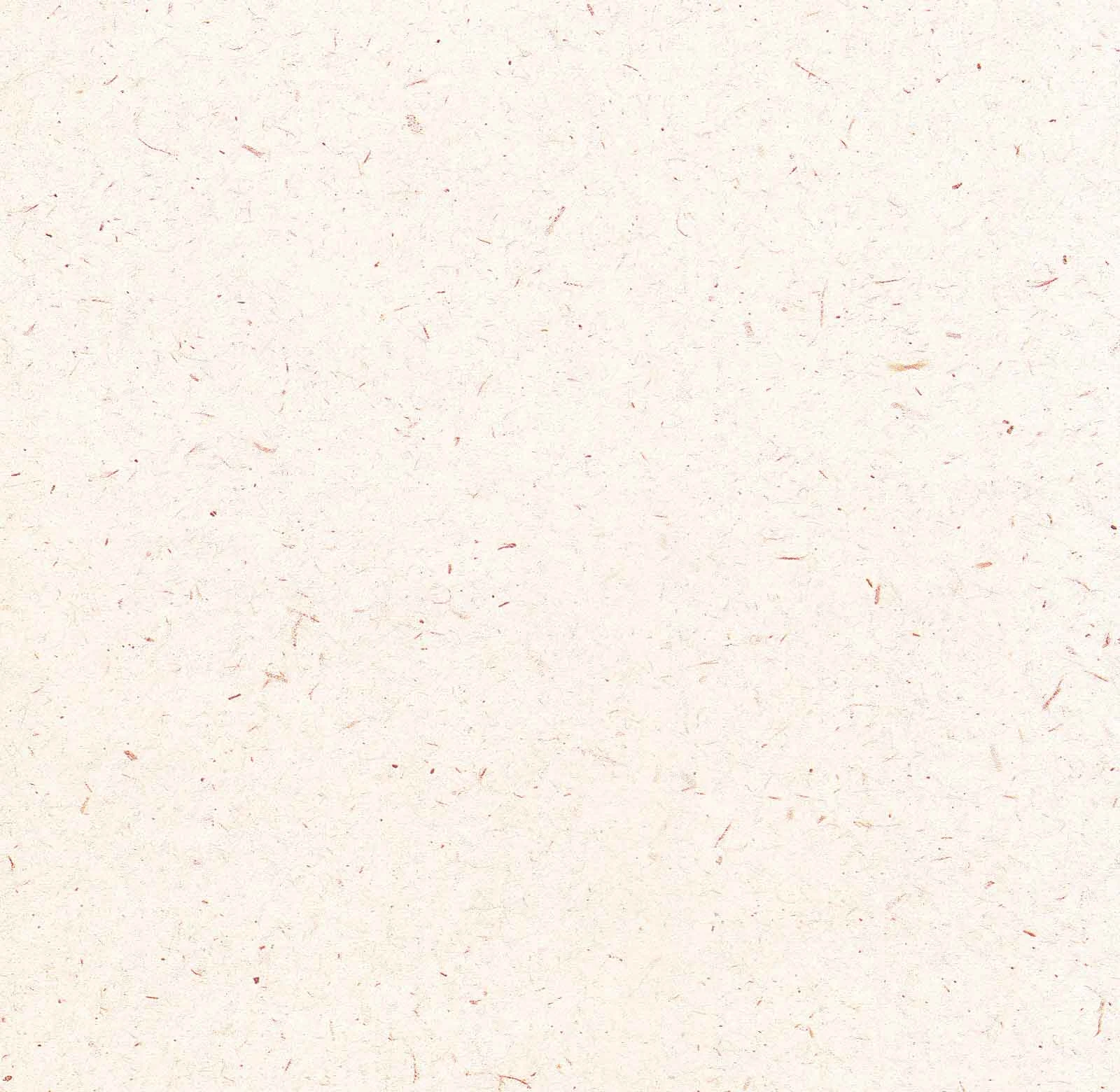 کاغذ خوشنویسی ابروباد چاپی سایز 50*35 کد(810) – بسته 5 برگی