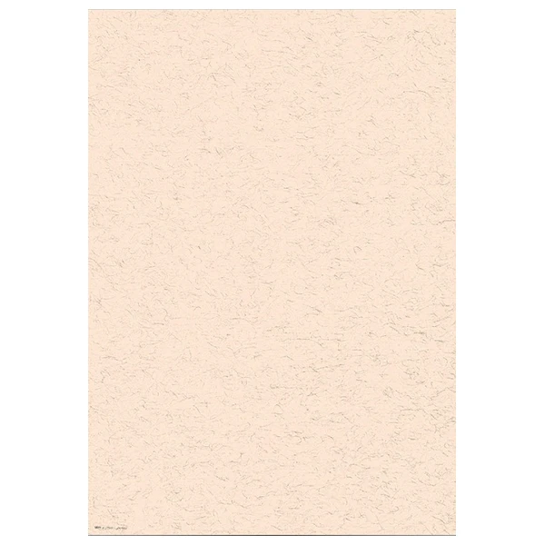 کاغذ خوشنویسی ابروباد چاپی سایز 50*35 کد(819) – بسته 5 برگی
