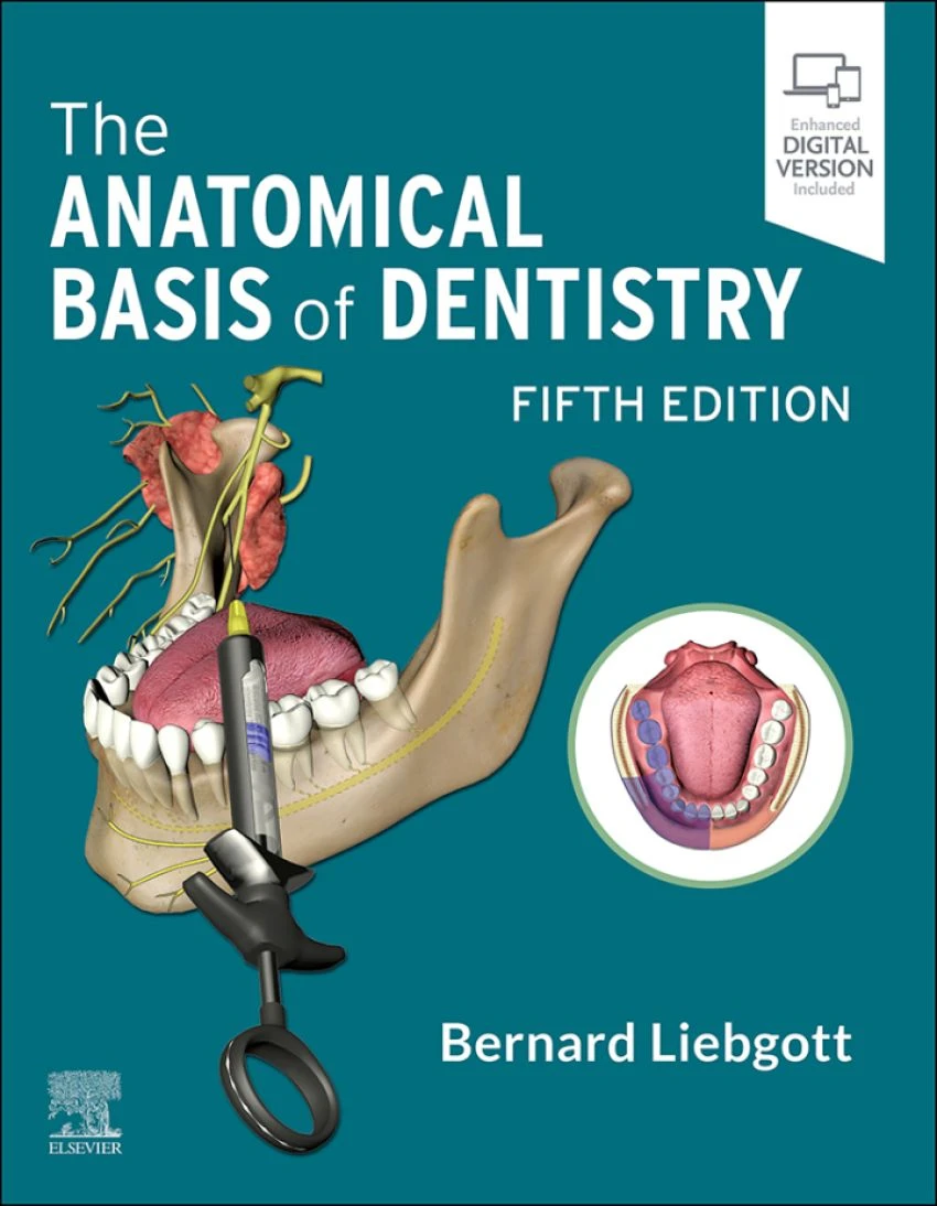 کتاب The Anatomical Basis of Dentistry 2023 زبان اصلی