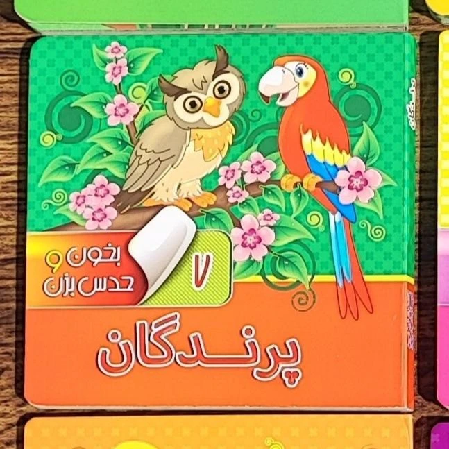 کتاب بخون و حدس بزن پرندگان
