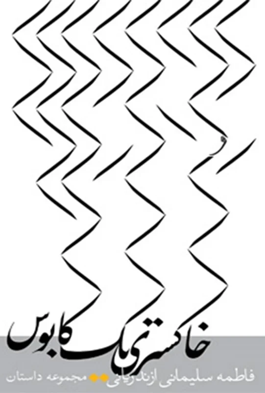 کتاب خاکستری یک کابوس اثر فاطمه سلیمانی